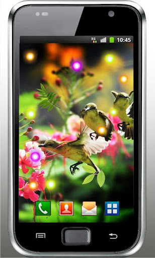 Colibri Free live wallpaper