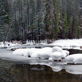 Winter on the Merced River by Floyd Hopper - Landscapes Forests
