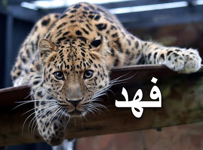 Free كتاب الحيوانات APK