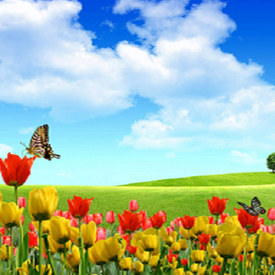 The 30 Most Beautiful Nature Photography