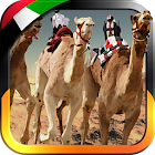 UAE Camel Racing... 1.6