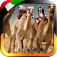 UAE Camel Racing...