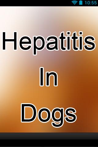 Hepatitis In Dogs