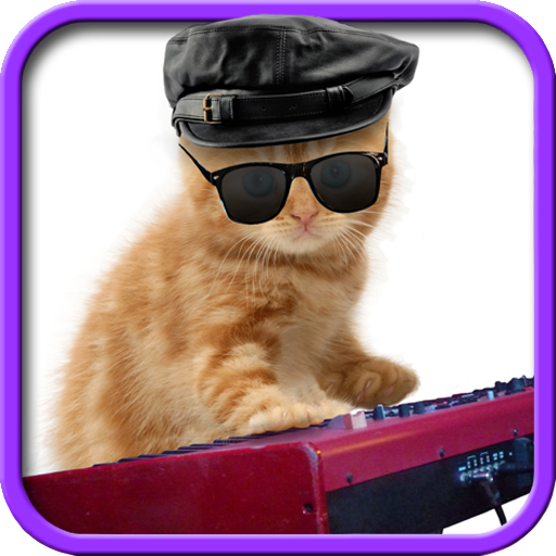 有趣的貓。跳舞和演奏 休閒 App LOGO-APP開箱王