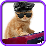 Funny cats Dancing and playing Apk