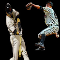 San Francisco Champions LWP logo
