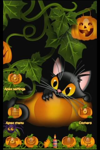 Apex GO Theme Kitty Pumpkin