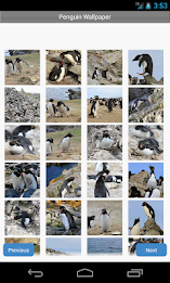 Penguin Wallpaper by Right Brain Mobile poster 1