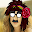 zsdfsdf Download on Windows