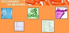 Diccionario de Medicina APK