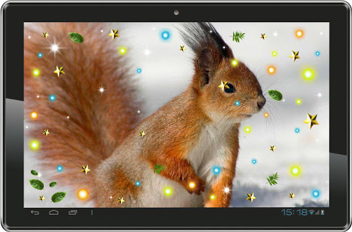 【免費個人化App】Squirrel Forest live wallpaper-APP點子