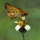 Skipper