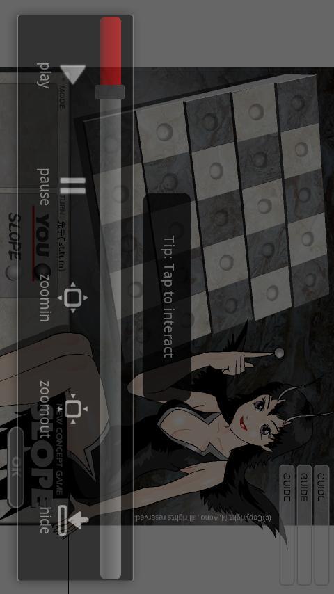 Smart SWF Player Pro Screen 1