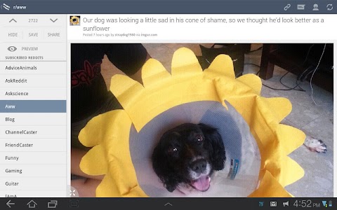 Screenshot BaconReader Premium for Reddit v3.9.0