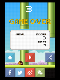 Flat Birds poster 14