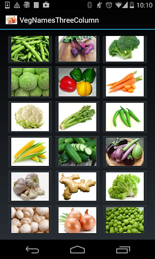 免費下載教育APP|Vegetable Names (3 Lines) app開箱文|APP開箱王