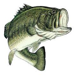 Freshwater Fishing 2.0
