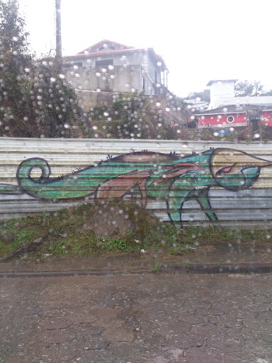 Grafite Camaleon ET