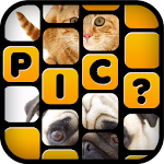 What’s The Picture - Guess Pic Apk