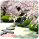 Zen Garden -Spring- LWallpaper