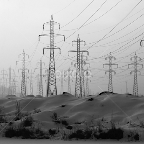 B&W Winter by Ioana Laura - Landscapes Prairies, Meadows & Fields