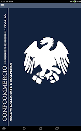 Ascom Gallarate poster 11