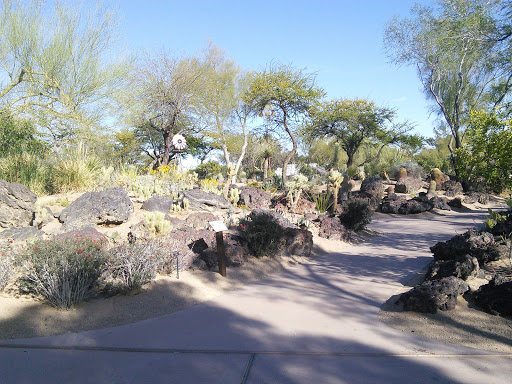 Ethel M Cactus Gardens