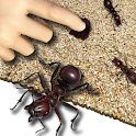 Ant Crusher Live Wallpaper logo