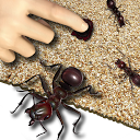 Ant Crusher Live Wallpaper mobile app icon
