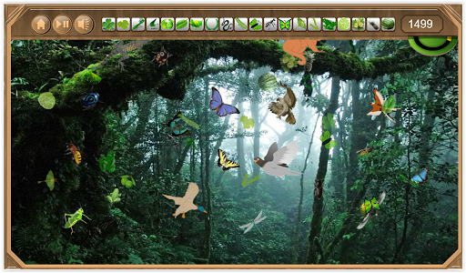 Rain Forest Hidden Objects