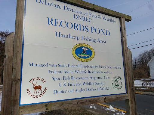 Records Pond