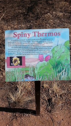 Spiny Thermos
