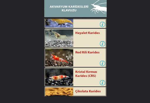 【免費工具App】Akvaryum Karides Klavuzu-APP點子