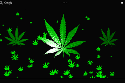 Download Cannabis Leaf Pictures
