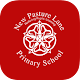 New Pasture Lane Primary APK