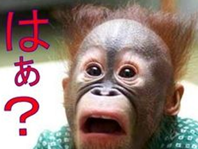 25 ++ 爆笑 おもしろ 画像 動物 172335