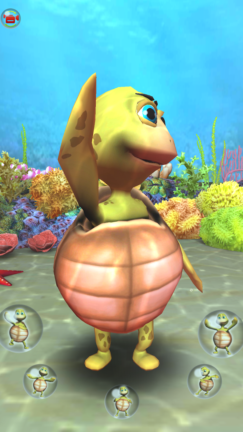 Talking Turtle 3D Screen 3