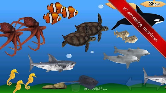 English Quiz For Second Grade Screenshots 9
