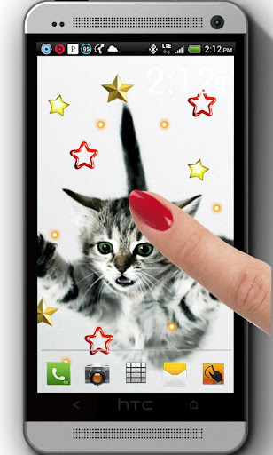 Pet Animals live wallpaper