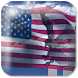 USA Eagle Live Wallpaper icon