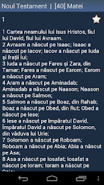 Romanian Holy Bible poster 5