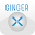 Ginger X Pte Ltd Download on Windows