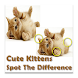 Cute Kittens Difference Game