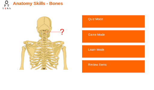 Anatomy Skills - Bones