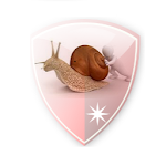 Cover Image of ダウンロード VPN over DNSトンネル：SlowDNS  APK