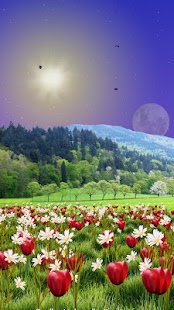 How to install Spring Meadow Free 2.03 unlimited apk for laptop