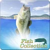 Fish Collection icon