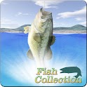Fish Collection