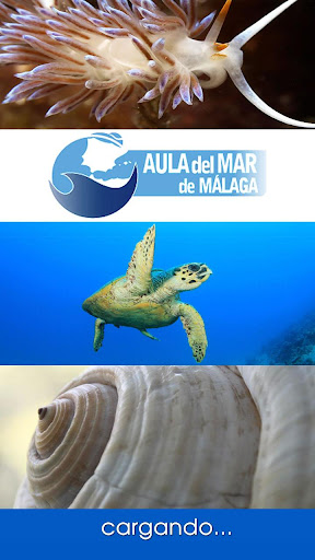 Aula del Mar