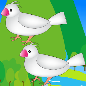 Bird Hunting 1.0.8